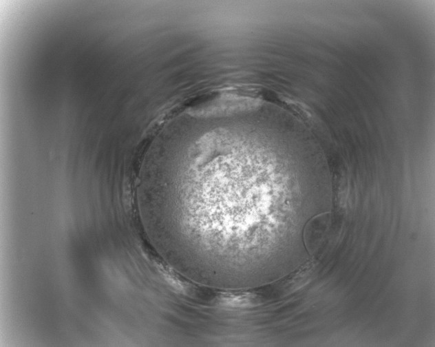 X0000066100569200603131233