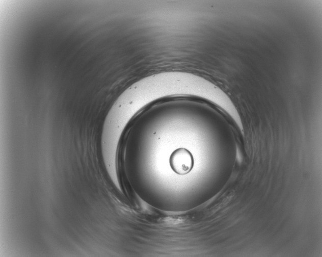 X0000066100570200603131233