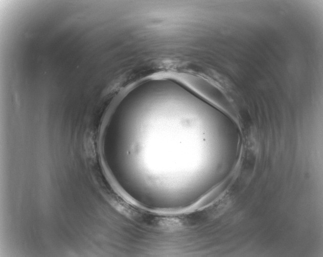 X0000066100572200603131233