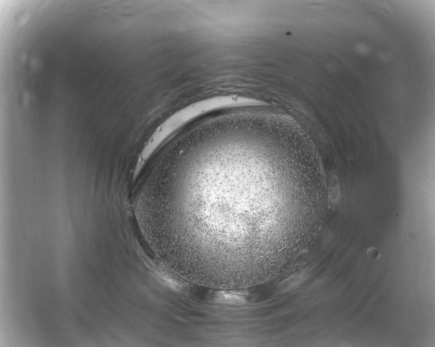 X0000066100573200603131233