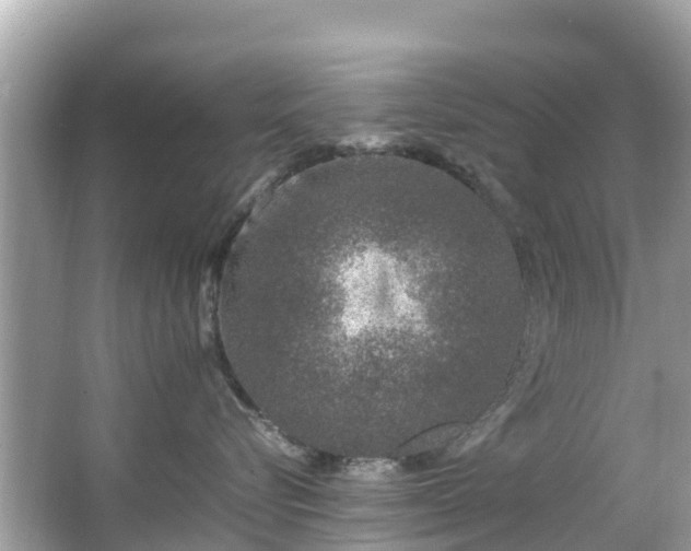 X0000066100576200603131233