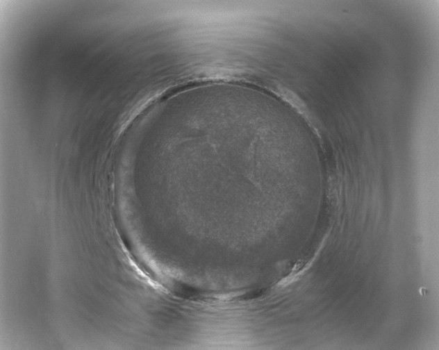 X0000066100577200603131232