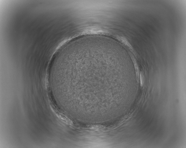 X0000066100579200603131232