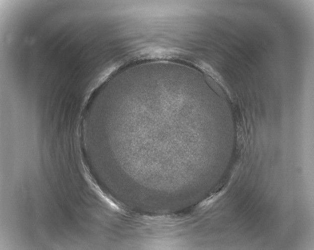 X0000066100581200603131232