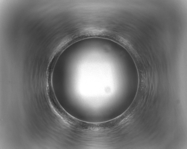 X0000066100582200603131232