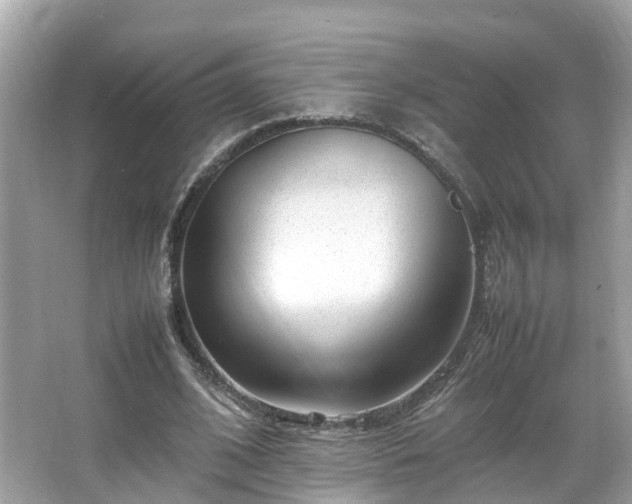 X0000066100584200603131232