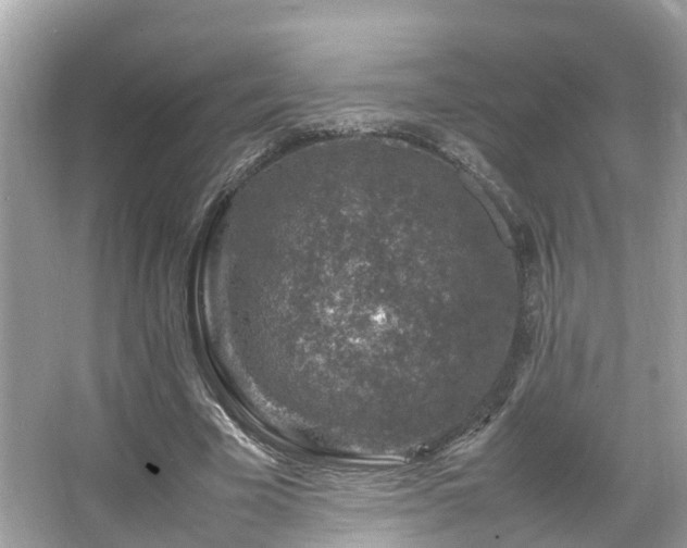 X0000066100585200603131232