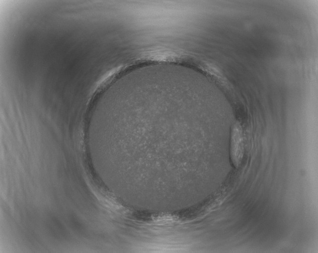 X0000066100587200603131232