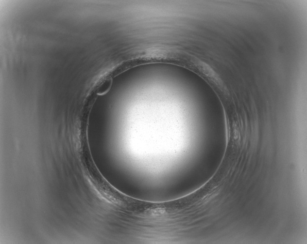 X0000066100588200603131232