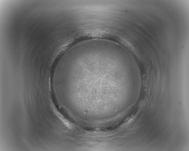 X0000066100589200603131232