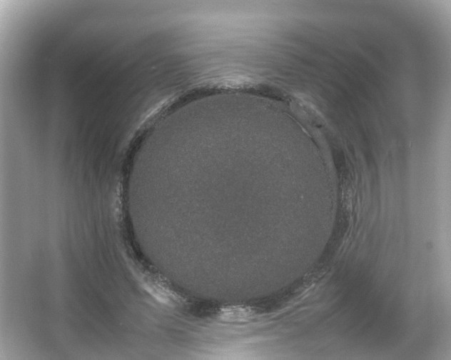 X0000066100591200603131232