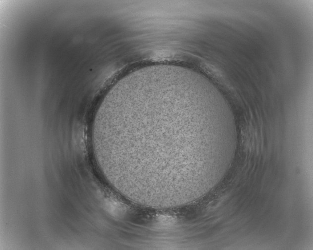 X0000066100592200603131232