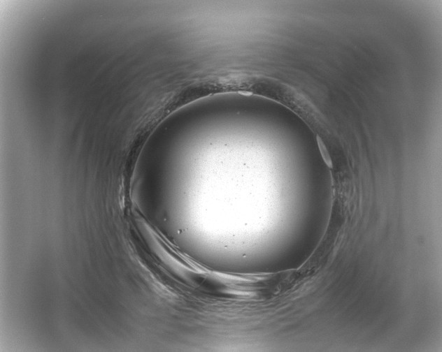 X0000066100593200603131232