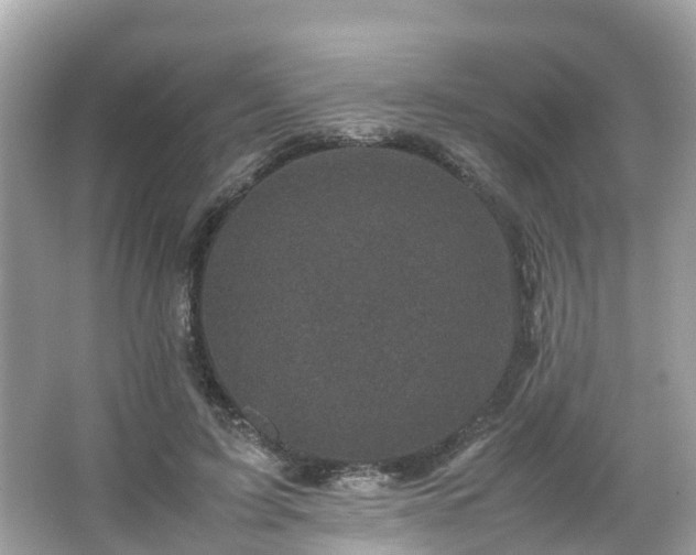 X0000066100595200603131232