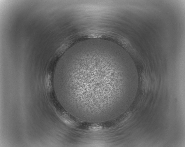 X0000066100598200603131232