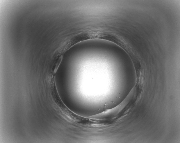 X0000066100601200603131232