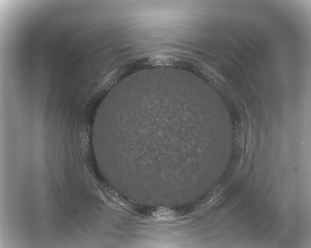 X0000066100603200603131232