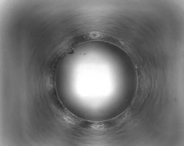 X0000066100606200603131232