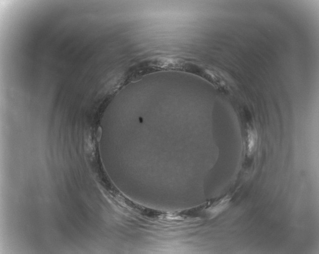 X0000066100607200603131232