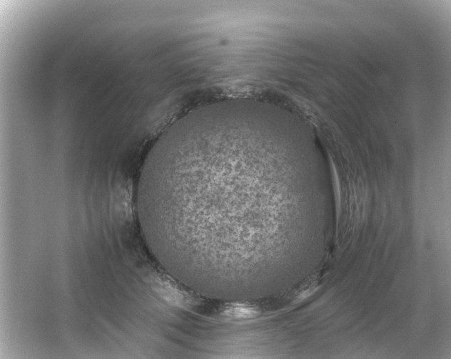 X0000066100610200603131232