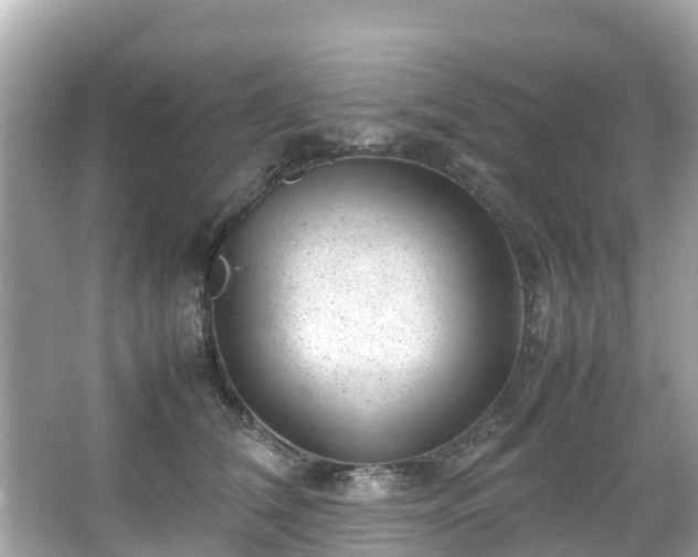 X0000066100612200603131232