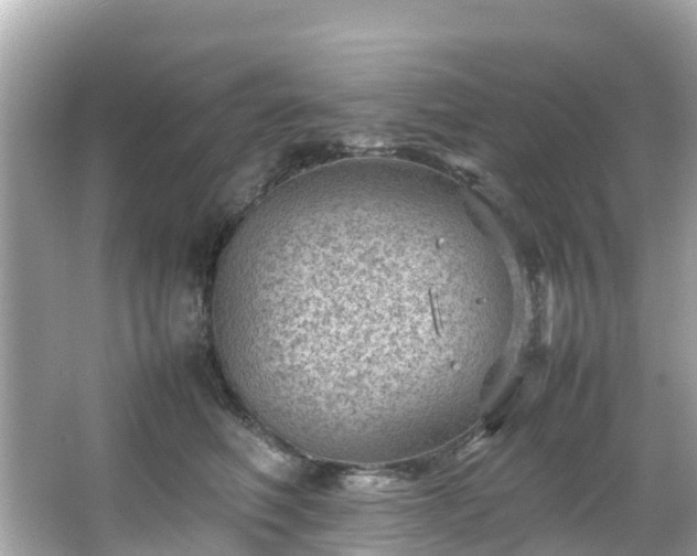 X0000066100614200603131231