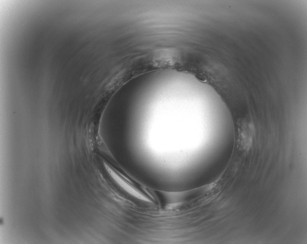 X0000066100616200603131231