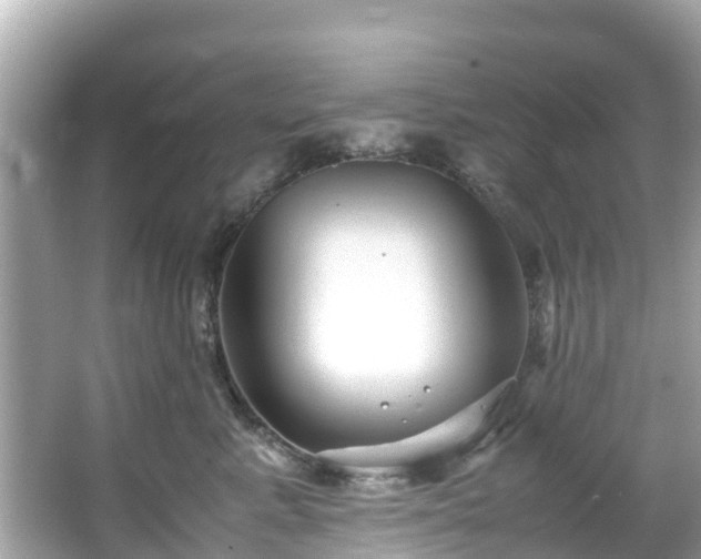 X0000066100619200603131231