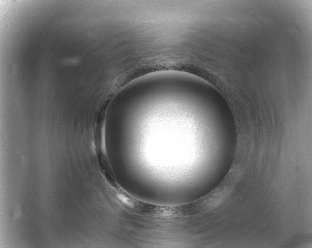 X0000066100624200603131231