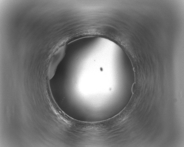 X0000066100625200603131230