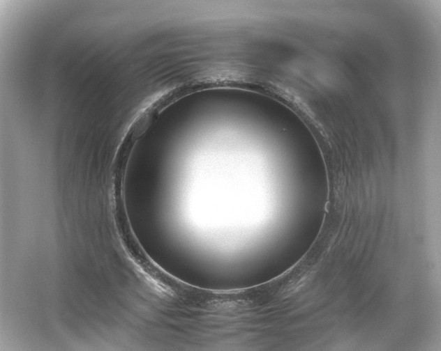 X0000066100629200603131231