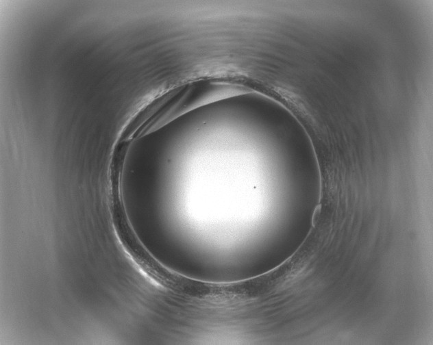 X0000066100630200603131231