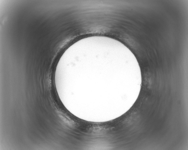 X0000066100632200603131231