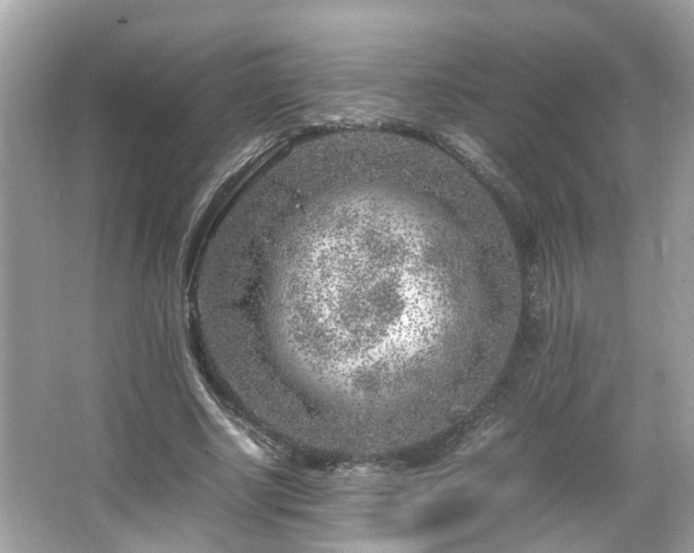 X0000066100634200603131231