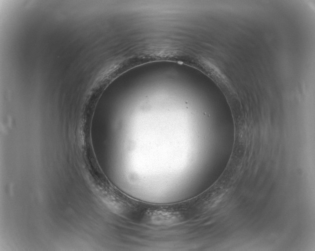 X0000066100635200603131231