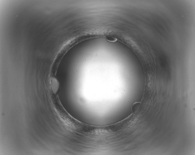 X0000066100636200603131231