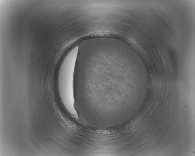 X0000066100640200603131231