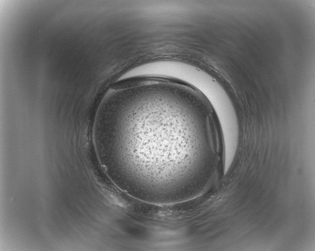 X0000066100641200603131231