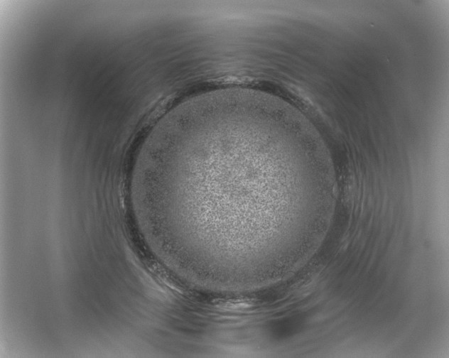 X0000066100643200603131231