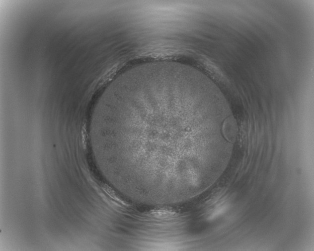 X0000066100644200603131231