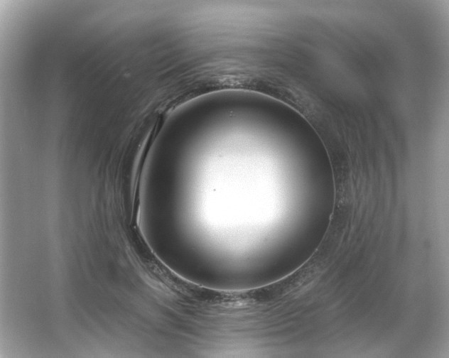 X0000066100646200603131231