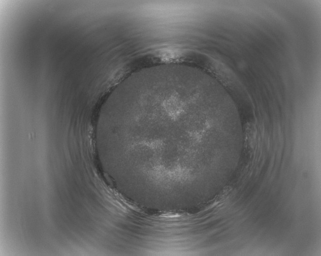 X0000066100650200603131231