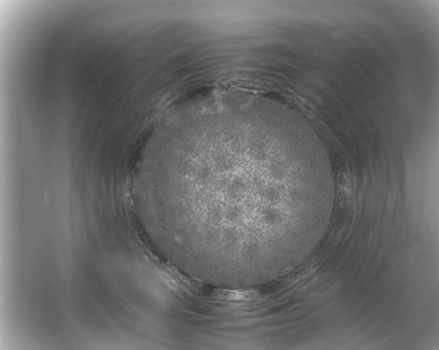 X0000066100663200603131231