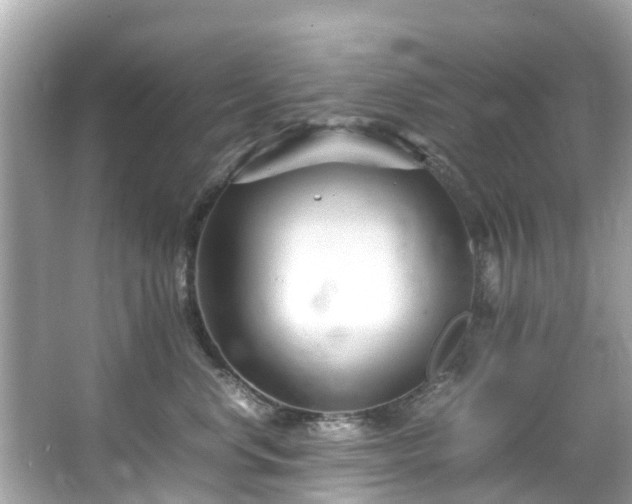 X0000066100668200603131231