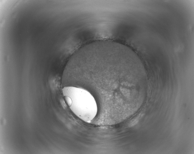 X0000066100672200603131231