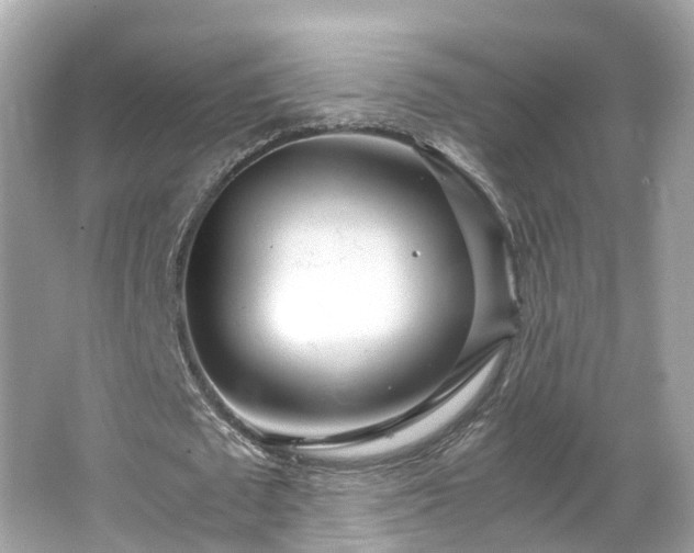 X0000066100673200603131230