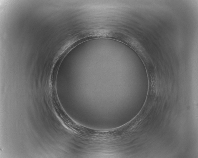 X0000066100674200603131230