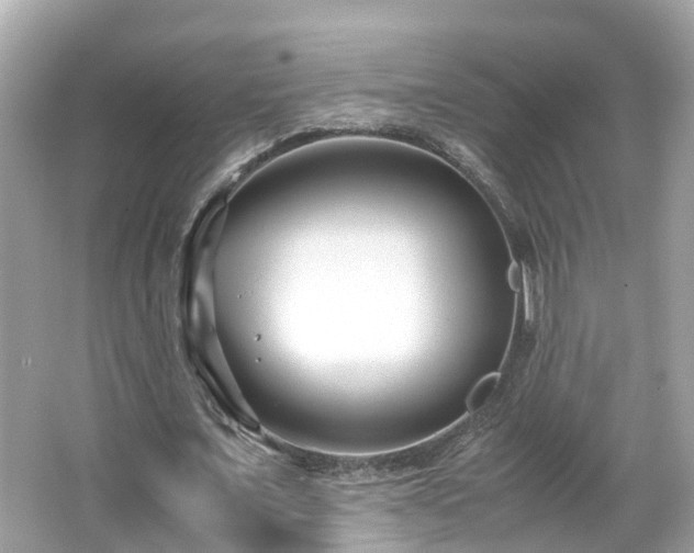 X0000066100675200603131230