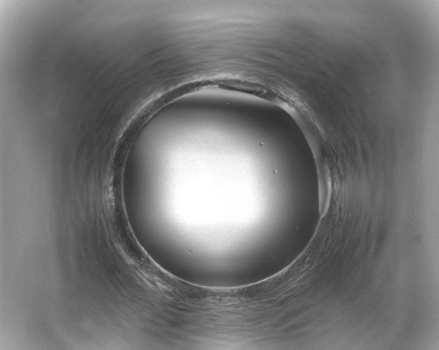 X0000066100676200603131230