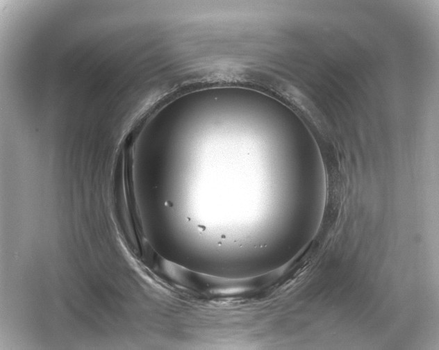 X0000066100677200603131230